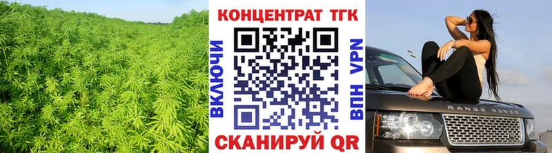 цены   Змеиногорск  ТГК THC oil 