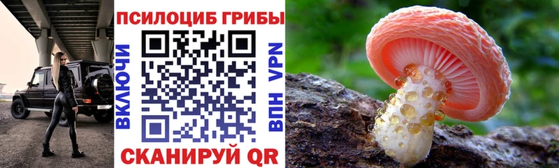 KRAKEN зеркало Змеиногорск Галлюциногенные грибы мицелий
